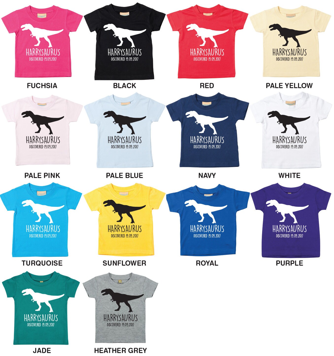 T-Rex Babies/Toddlers/Kids Personalised Dinosaur T-Shirt - Any Name and Date Children's Birthday Dino