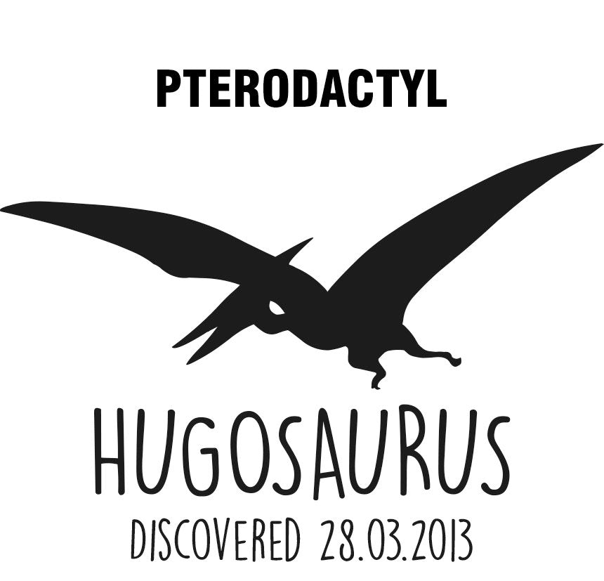 Personalised Dinosaur Digital Download | Custom Artwork for T-Shirts | Diplodocus T-Rex Pterodactyl Stegosaurus Velociraptor Triceratops