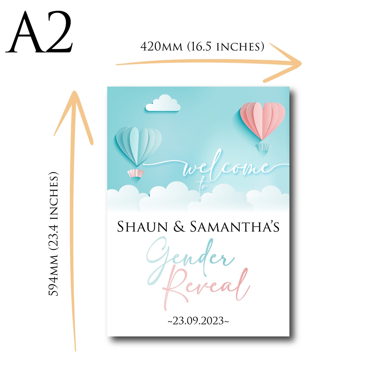 Personalised Gender Reveal Welcome Sign TLPCGR001 Physical or Digital, Blue Pink Hot-Air Balloon Baby Shower Sign