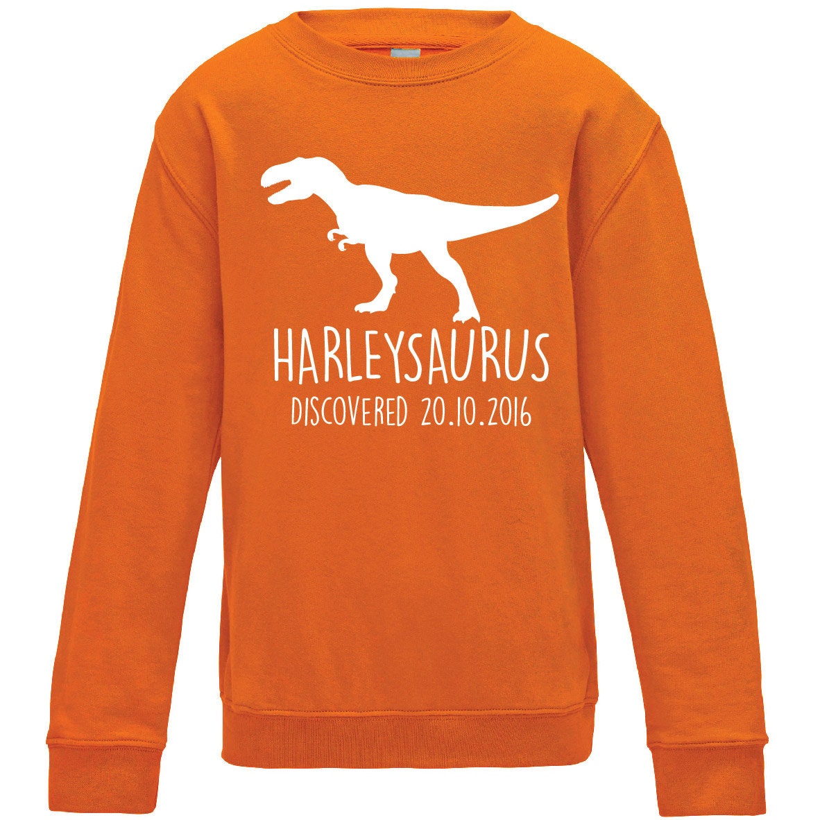 T-Rex Kids Personalised Dinosaur Sweatshirt JH30J- Any Name and Date Children's Birthday Dino